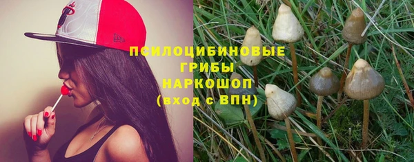 гидра Дмитровск