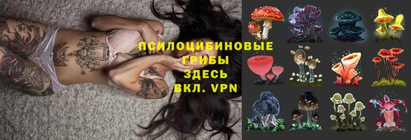 бошки Дмитриев