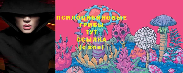 ешки Дмитров