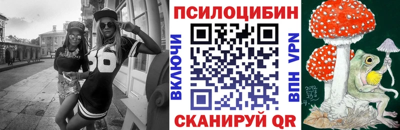 Купить Павлово Галлюциногенные грибы Cubensis